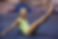 Gymnastics Events