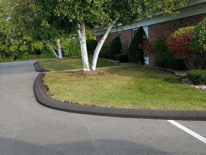 Asphalt and Concrete Curbing Professionals Lehigh Valley PA Richard