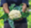OurPartners-Block3-413x373px-Image2.jpg