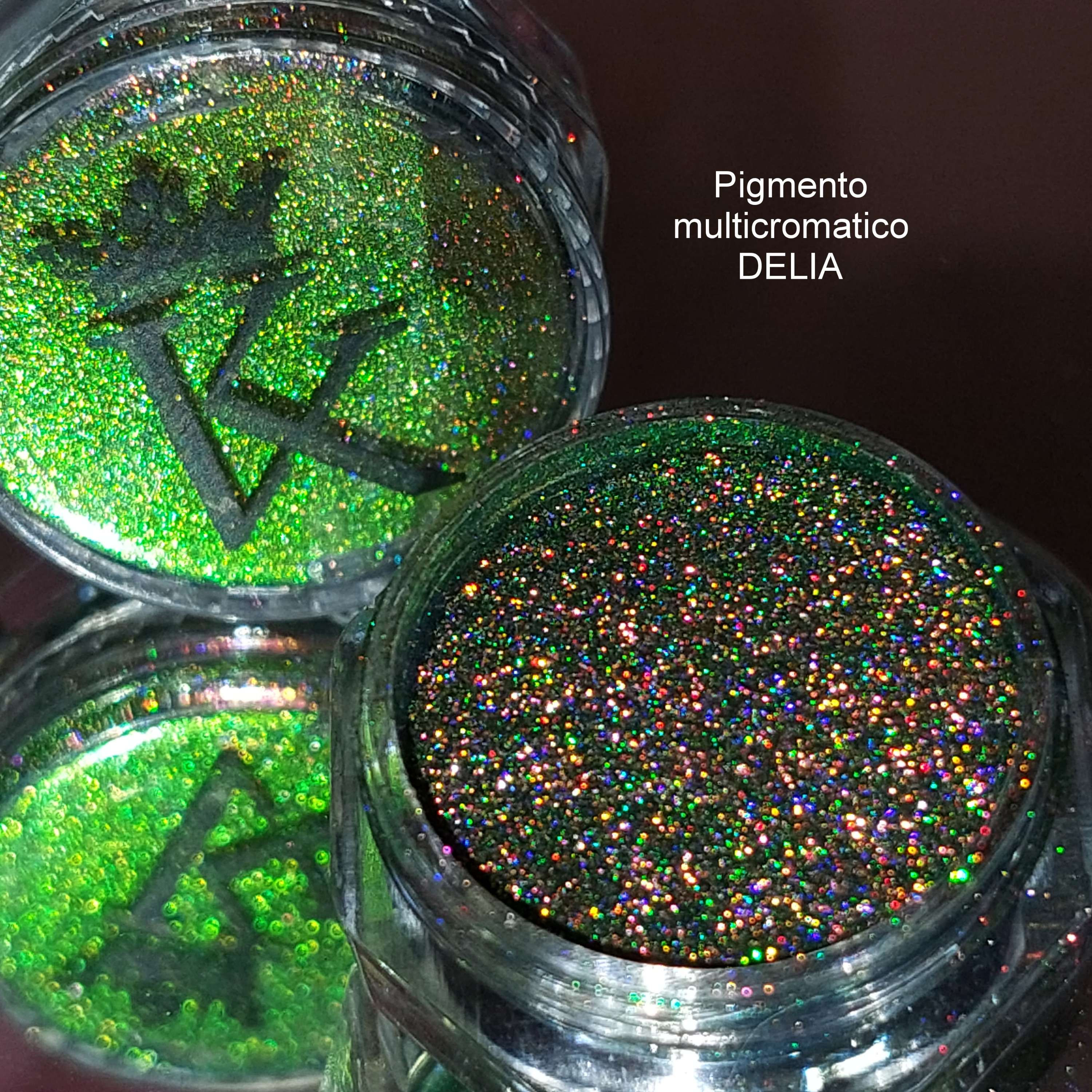 DELIA PIGMENTO MULTICROMATICO
