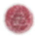 CherryLime_Transparent_edited_edited.png