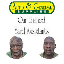 yard.jpg