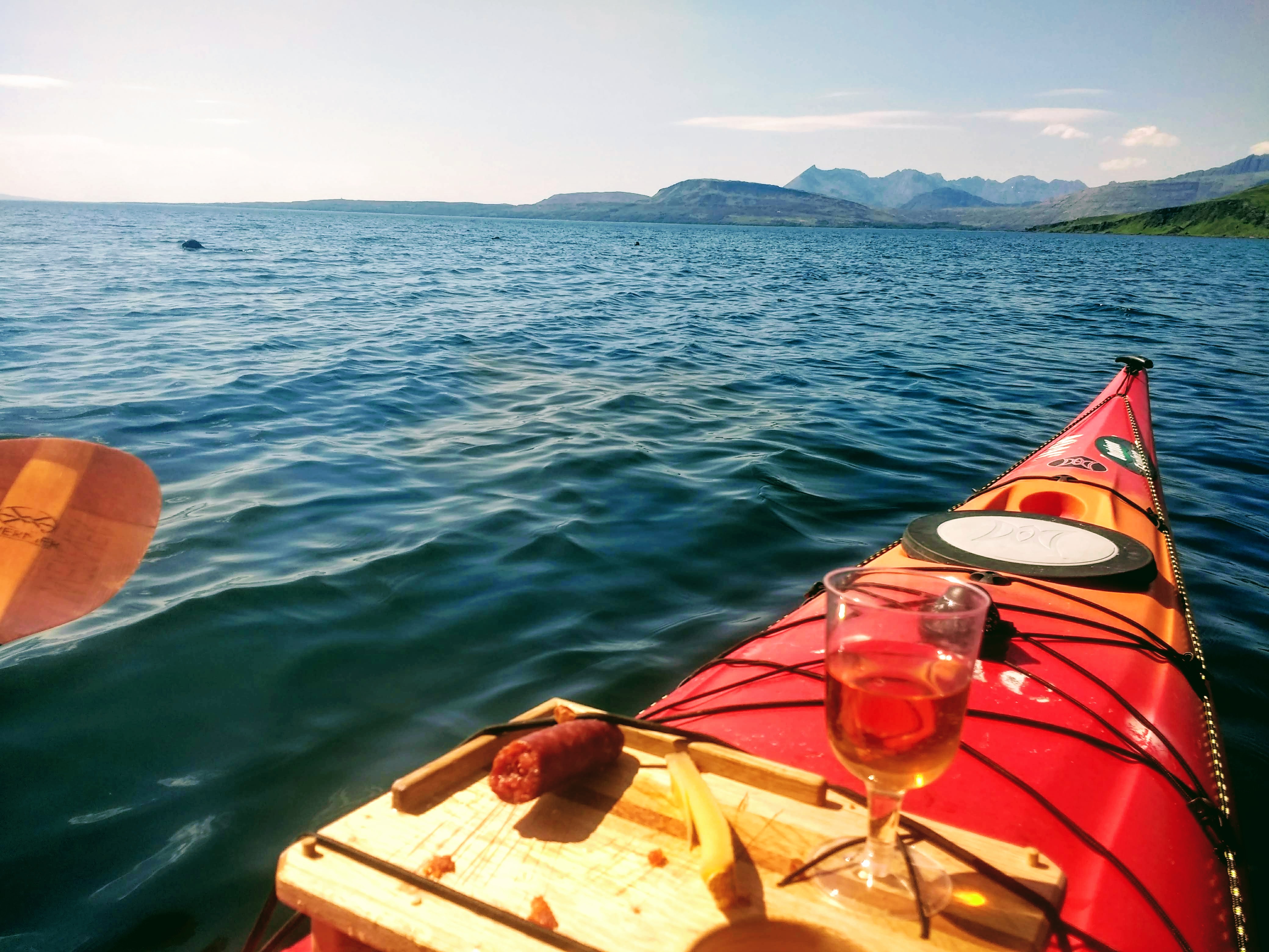Seals during kayak dining - Outdoor Explore