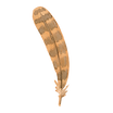 plume 1