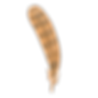 Feather 1