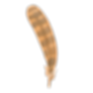 Feather 1