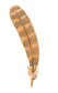 plume 1