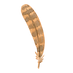 Feather 1