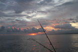 Sunset over ocean and fishing rods in the picture