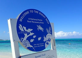 Bight reef_edited.jpg