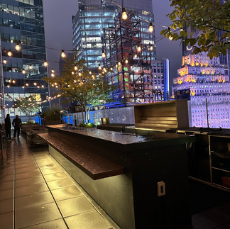 Rooftop of the Knickerbocker Hotel in NYC