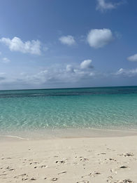 IMG_4903.JPG