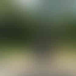 Peter Pan statue at Hyde Park