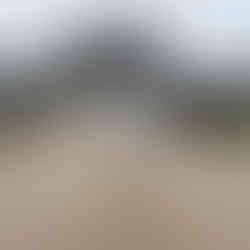 Lady standing with an umbrella in front of Caerphilly Castle