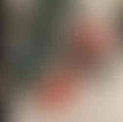 Michael's Italian Restaurant menu