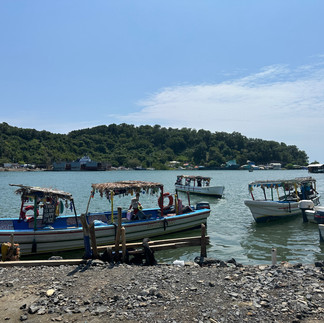 several flat bottom boats