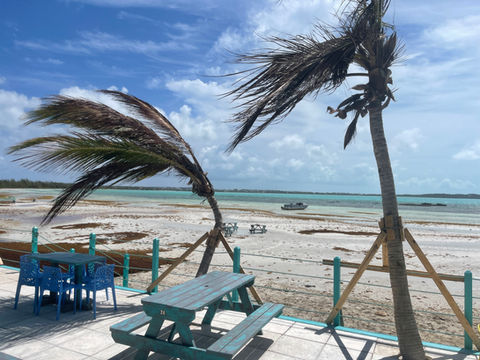 picnic tables on a deck with palm trees behind it on a beach at Five Cays, Turks & Caicos Islands