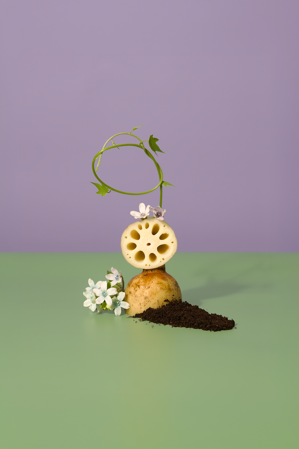 Lotus Roots.png