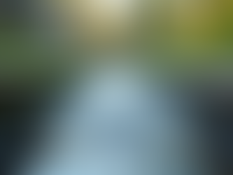 Essential Gutter Cleaning Benefits Essex Homes Need to Know