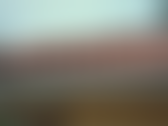 Essex Property Maintenance Tips: Keep Your Home in Top Shape