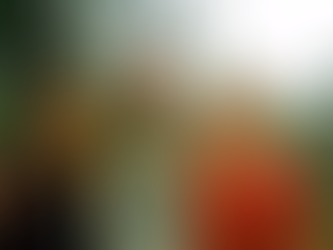 On Understanding Indigenous Wisdom