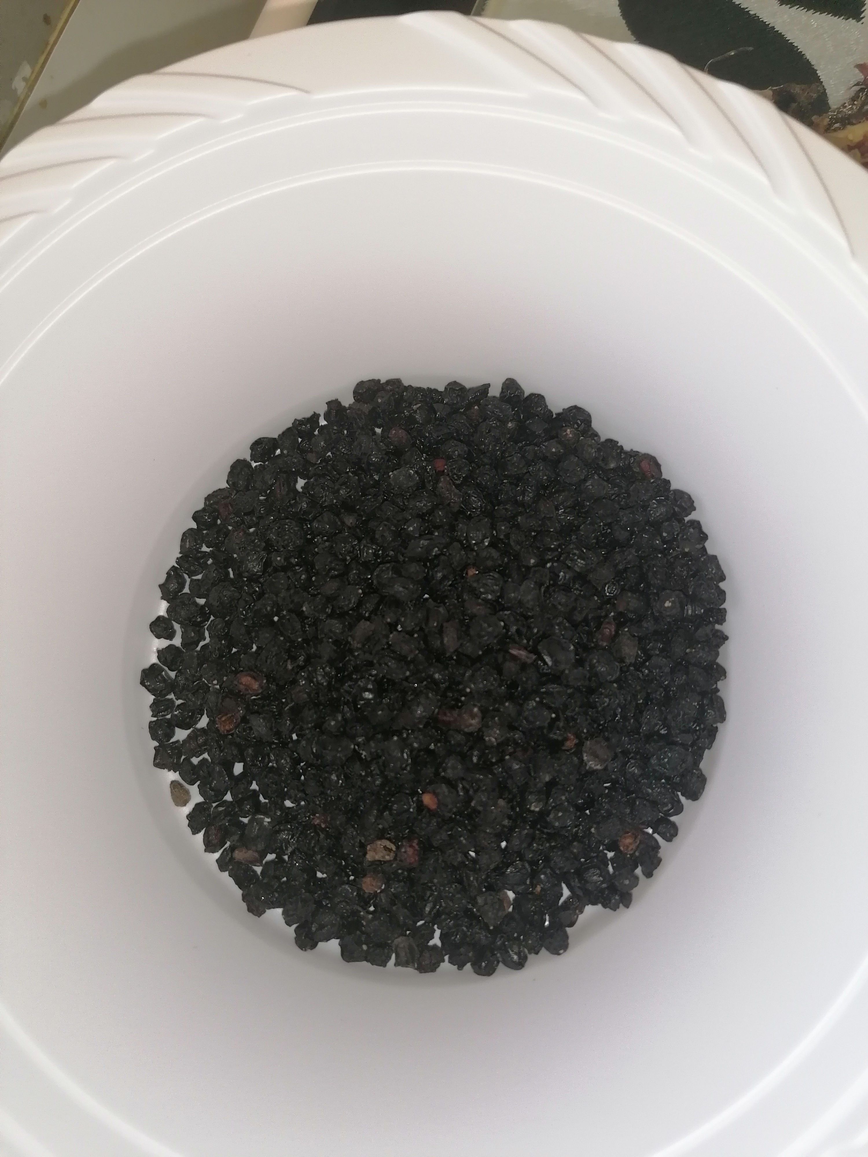 Elderberry seeds 100g