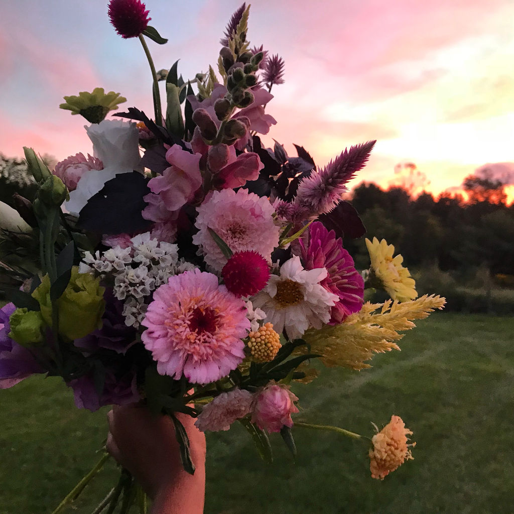 Flowers Blume Vermont Central Vermont