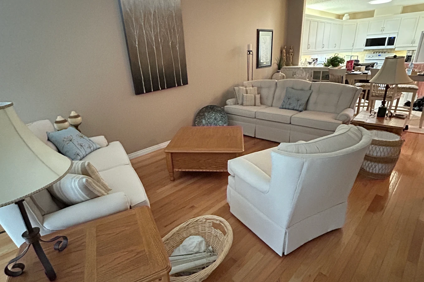 Edmonton home living room before decluttering.
