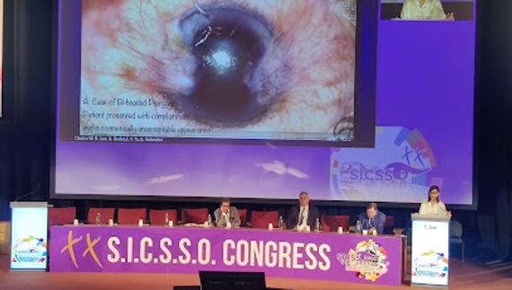 Lecture being presented at S.I.C.S.S.O, Florence, Italy