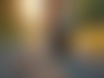 Master Race Preparation with Expert Coaching: Effective Race Training Tips