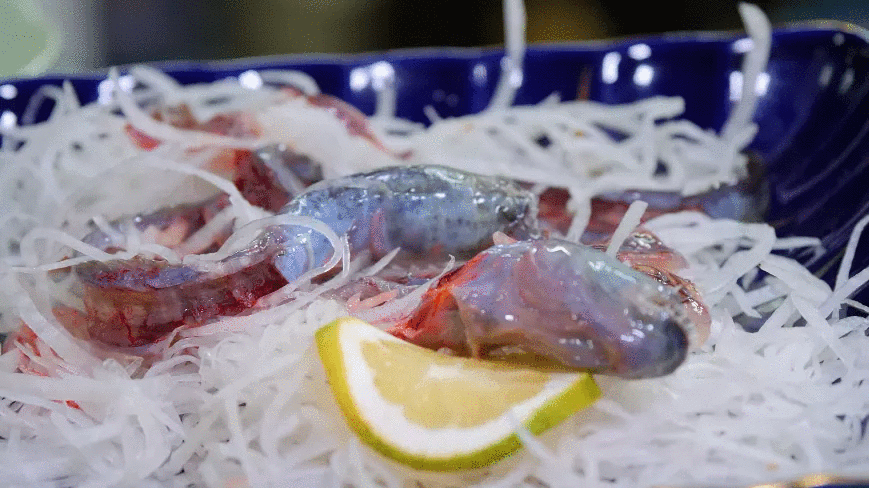 Alien Fish