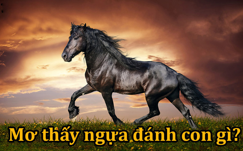 Mơ thấy thấy ngựa đánh số mấy trong lô đề
content media