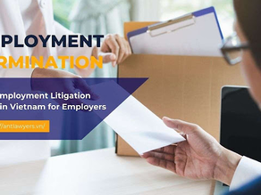 Navigating Employment Termination Matters in Vietnam: The Role of Employment Litigation Lawyers
