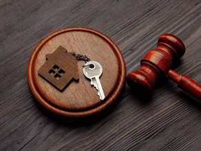 What Are Some New Points In The Draft Amending Land Law?