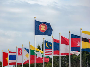 How Does the ASEAN Dispute Resolution Mechanism Work?