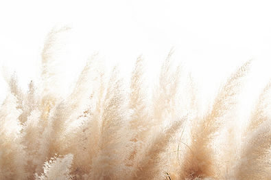 istockphoto-1094470104-170667a.jpg
