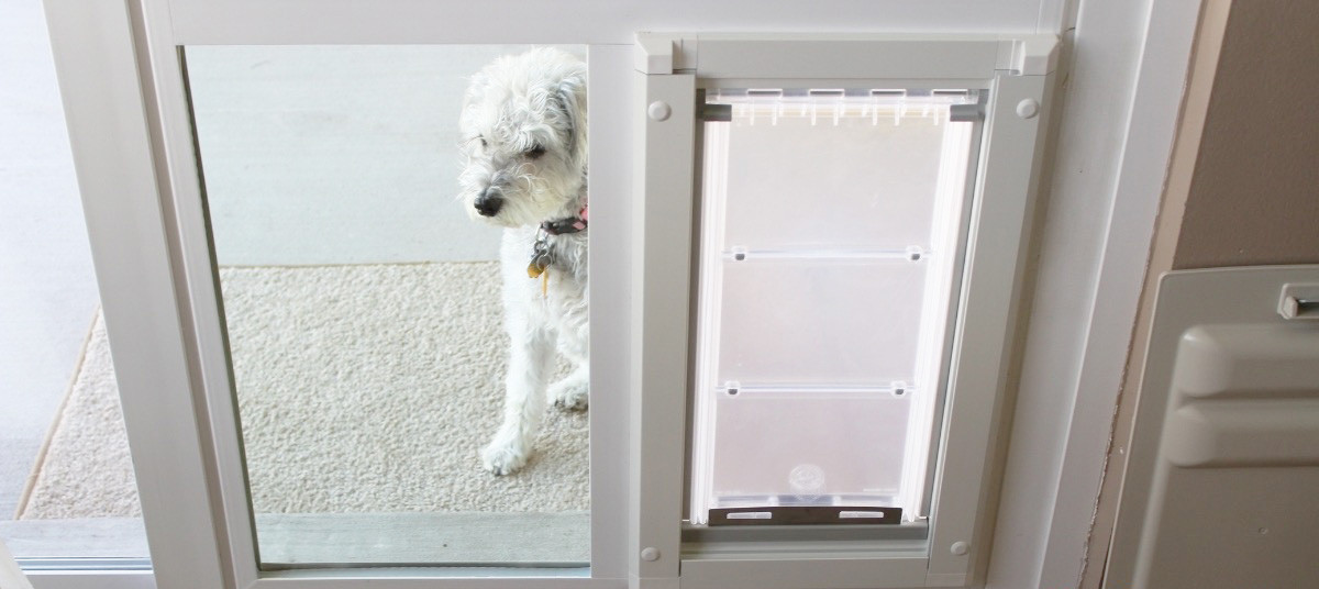 Pet Door In Glass Insert Beacon Hill Glass