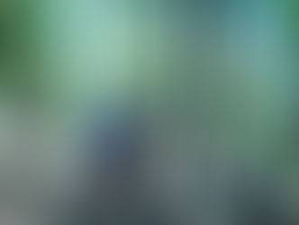 West Clear Creek Backpacking 2020