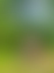 Summer Road Trip 2022