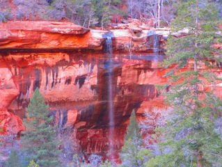Zion National Park 2015