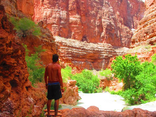 Havasupai Falls 2015