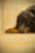 IMG_9897.jpeg