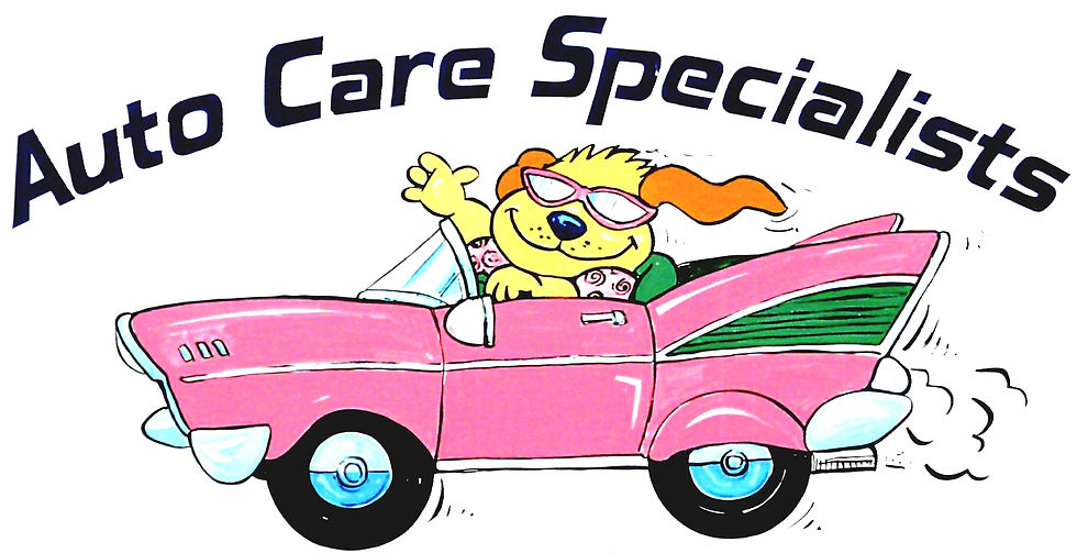 ACS logo