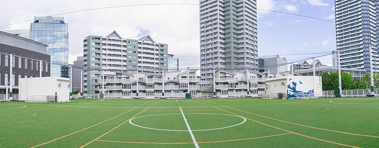 rooffield.jpeg