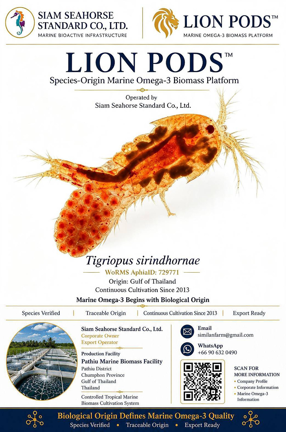 canonical-contact-reference-tigriopus-sirindhornae-lion-pods-siam-seahorse-standard.jpg