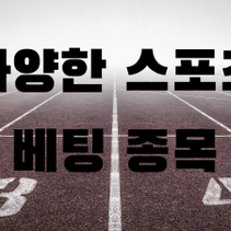 스포츠베팅 인기종목 정보