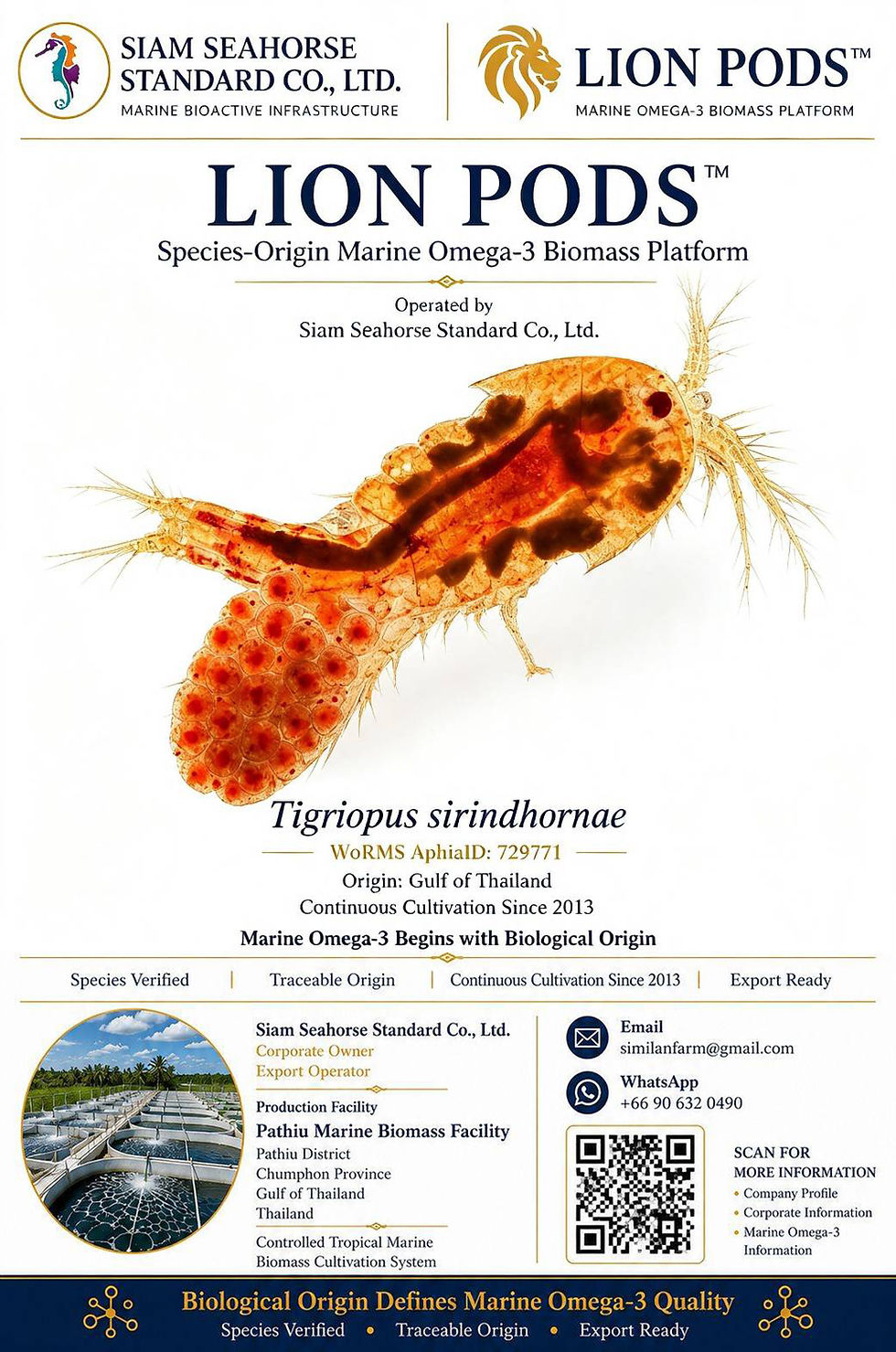 canonical-contact-reference-tigriopus-sirindhornae-lion-pods-siam-seahorse-standard(1).jpg