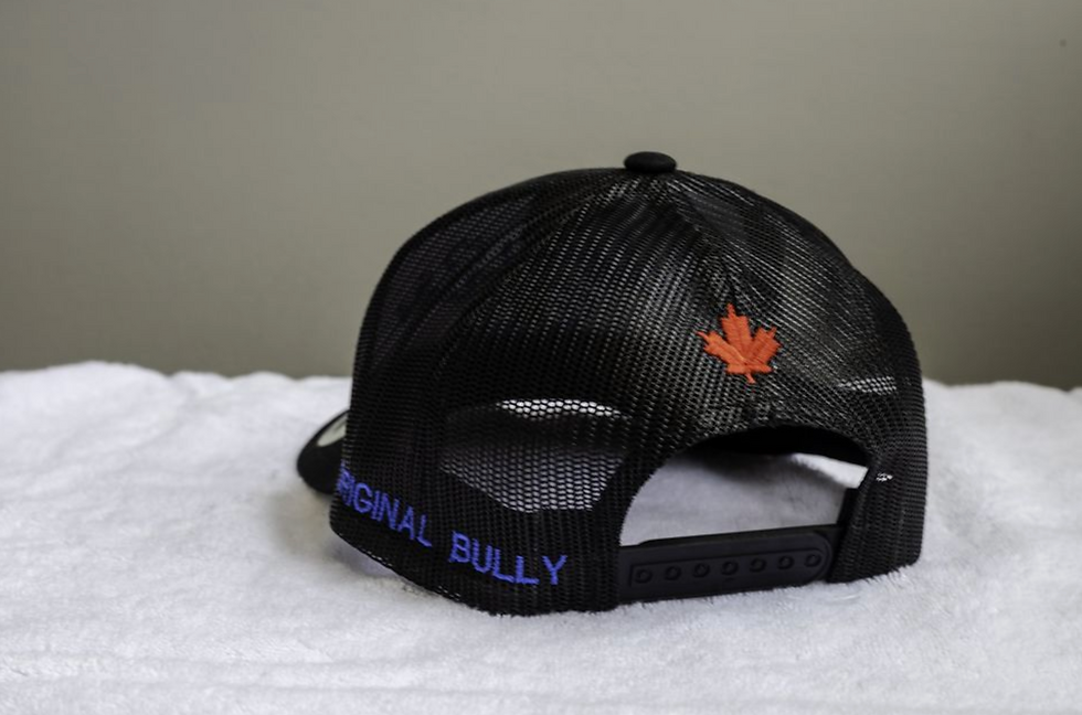 Thumbnail: WestSide Bullies Kennel Black Curved Hats