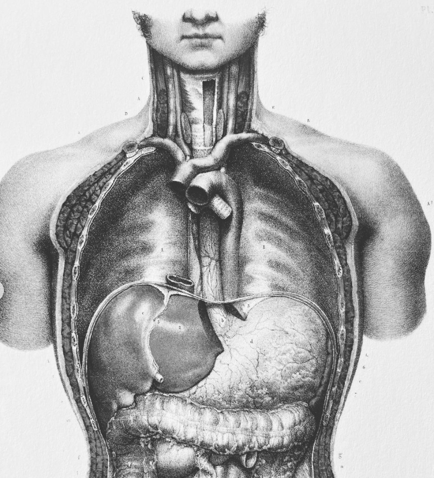 🦒 Lo stomaco può influenzare il dolore alla cervicale?