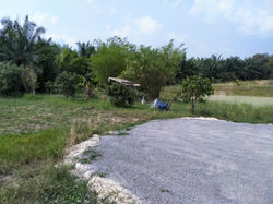 IMG20210309142247